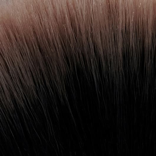 Volume Set at Wax ‘n’ Lashes Studio in Berkeley, CA